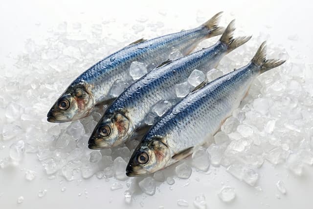 охолодженна